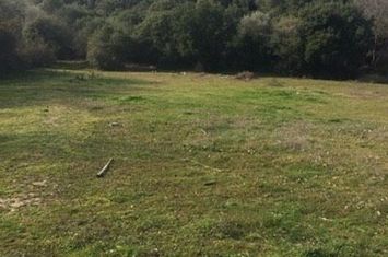 Teren construibil 5.700 mp în Stavros – Milies Thessaloniki anunturi imobiliare Grecia