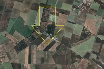 Vand teren Crevedia 140 hectare anunturi imobiliare Dambovita