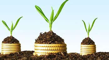 BCR - creditele beneficiarilor de subvenţii APIA pot fi acordate fără garanţii pentru sume de până la 300.000 lei
