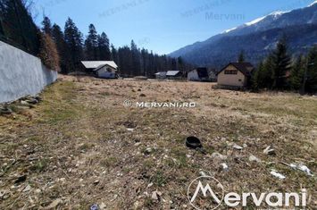 Teren Intravilan de vanzare BUSTENI - Prahova anunturi imobiliare Prahova