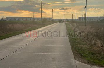 Teren de vanzare - 22800mp  - Parc Industrial km 23 anunturi imobiliare Giurgiu