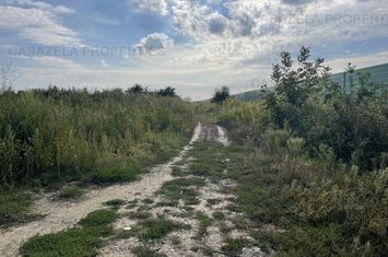 Teren 5.078 mp km 30 Bucuresti-Pitesti- 26.500 eur anunturi imobiliare Giurgiu