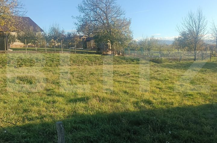 Teren de vanzare VINTU DE JOS - Alba anunturi imobiliare Alba