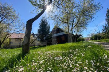 Vilă - 9 camere de vanzare CORUSU - Cluj anunturi imobiliare Cluj