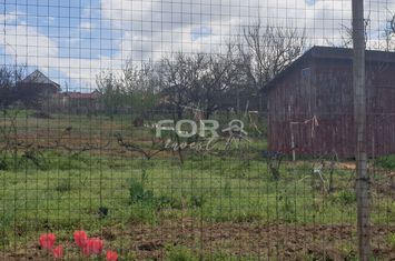 Teren intravilan de vanzare 850mp, strada Arinului zona Gh.Doja anunturi imobiliare Bihor