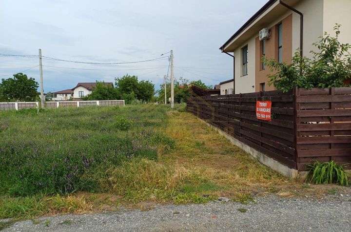Loturi Teren Intravilan Str Delfinului -Comuna Berceni anunturi imobiliare Bucuresti