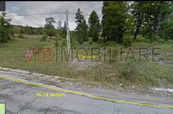 Sinaia | Teren intravilan 5.000 mp | DN71 | Cota 1000 anunturi imobiliare Prahova