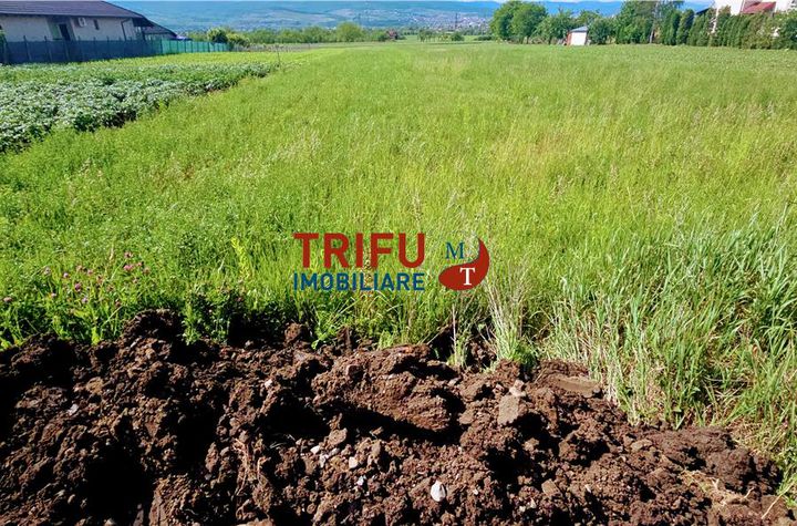 Teren Intravilan de vanzare CENTRAL - Alba anunturi imobiliare Alba