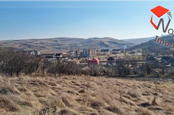 Teren Intravilan de vanzare COJOCNA - Cluj anunturi imobiliare Cluj