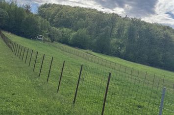 Teren de vanzare MARGINEA - Suceava anunturi imobiliare Suceava