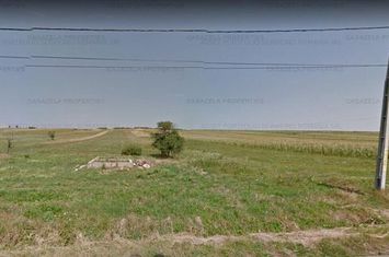 Teren intravilan situat in Oglinzi, loc. Raucesti, jud. NEAMT anunturi imobiliare Neamt