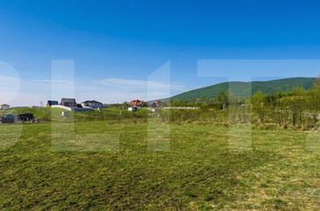 Teren de vanzare REDIU - Cluj anunturi imobiliare Cluj