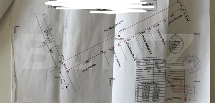 Teren de vanzare MALU MARE - Dolj anunturi imobiliare Dolj