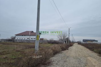 VANZARE TEREN INTRAVILAN 950 MP CERNICA-TANGANU anunturi imobiliare Bucuresti