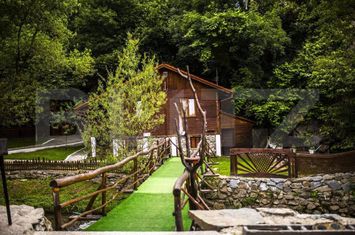 Casă - 25 camere de vanzare SEBES - Alba anunturi imobiliare Alba