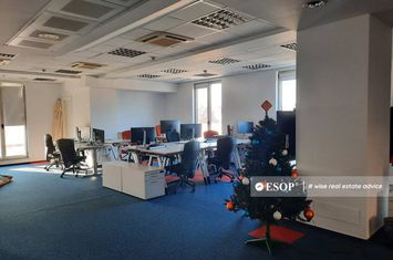 Birou de inchiriat COTROCENI - Bucuresti anunturi imobiliare Bucuresti