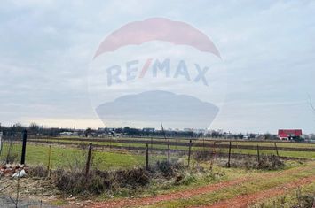 Teren 1,434mp Selimbar anunturi imobiliare Sibiu
