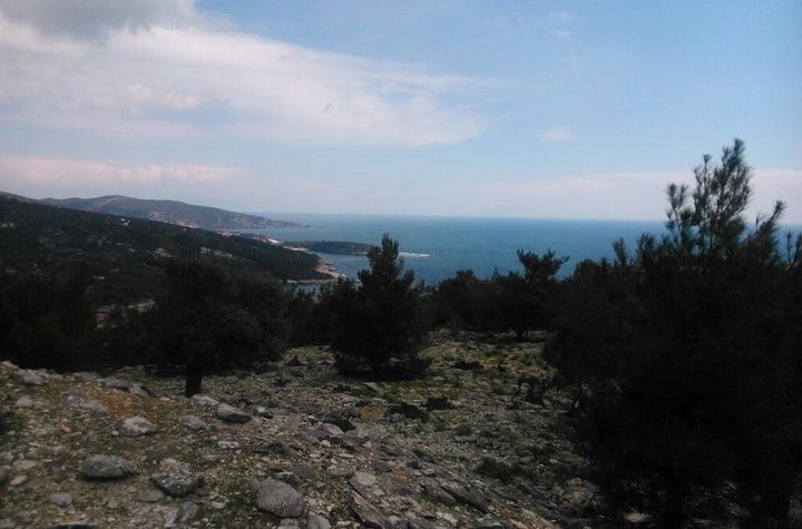 Teren construibil 22.200 mp, Thimonia, Thasos anunturi imobiliare Grecia