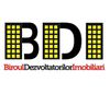 BDI CONSULTING Company