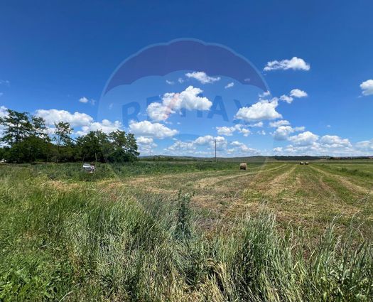 Teren Intravilan Jucu, 2900 mp