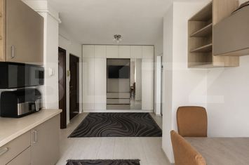 Apartament 2 camere de vanzare LIPOVEI - Timis anunturi imobiliare Timis