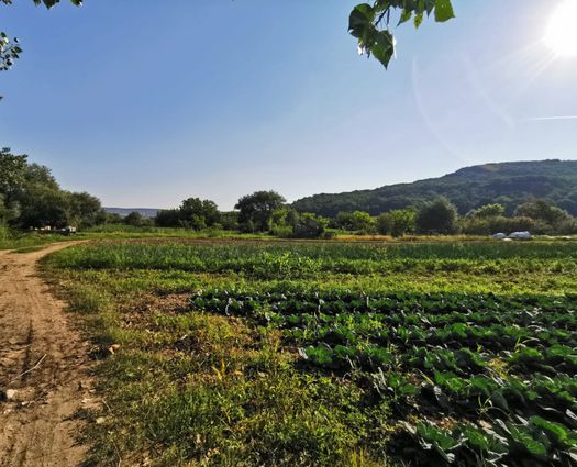 Teren Sibiu, 7500 mp