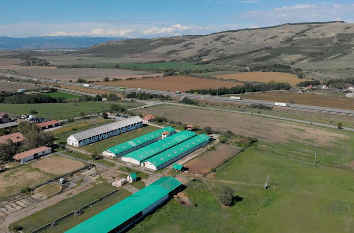 Spațiu comercial de vanzare SEBES - Alba anunturi imobiliare Alba