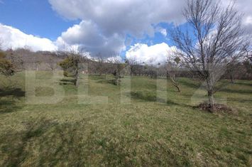 Teren de vanzare BISTRITA - Bistrita-Nasaud anunturi imobiliare Bistrita-Nasaud