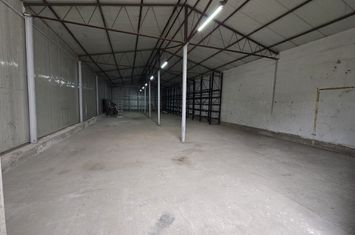 Hale cu suprafatade  220 mp si 440 mp zona Ambient anunturi imobiliare Mures