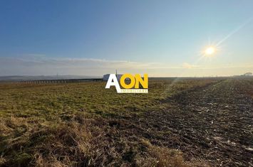 Teren de vanzare in zona Soseaua de Centura, 2.5 HA anunturi imobiliare Alba