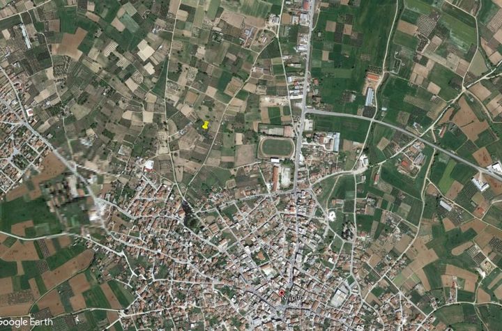 Teren 1.800 mp cu măslini în Nigrita, Serres anunturi imobiliare Grecia
