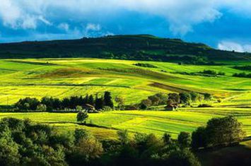 1.500 ha Teren agricol și pășune (Vestul României) anunturi imobiliare Timis