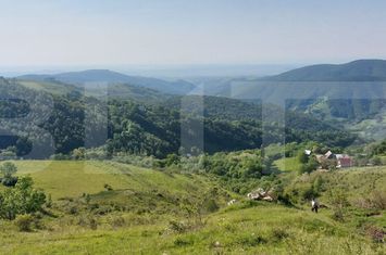 Teren de vanzare ALBA IULIA - Alba anunturi imobiliare Alba
