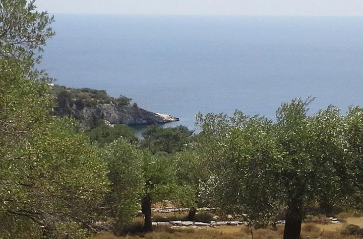Teren construibil 4044 mp, Aliki (Thasos) anunturi imobiliare Grecia