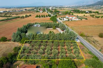 Teren construibil 1667 mp în Choristi, Drama anunturi imobiliare Grecia