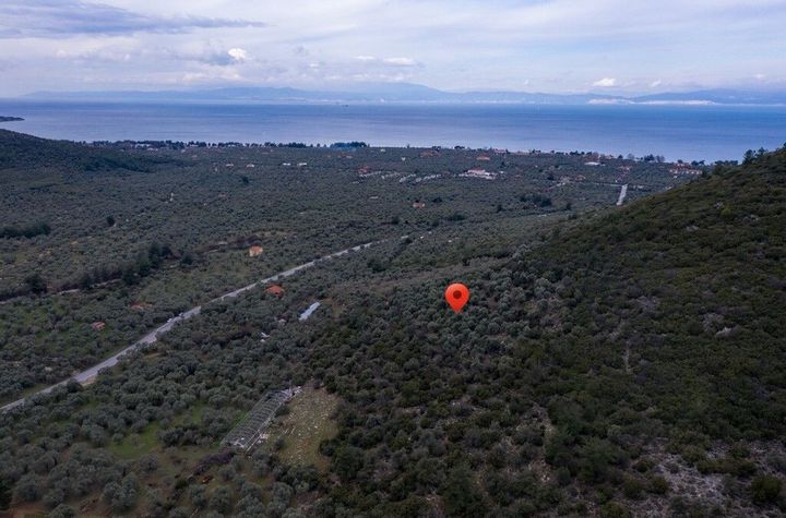 Teren construibil în Rachoni, 4632 mp, vedere la mare anunturi imobiliare Grecia