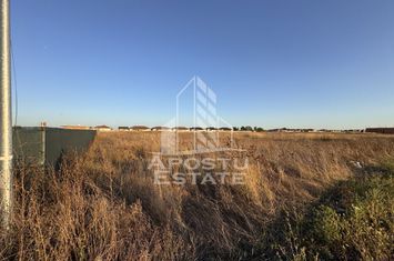 Teren Intravilan | 706mp | Front 16ml | Zona Mosnita Noua anunturi imobiliare Timis