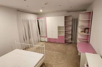 Otopeni, I.G. Duca, inchiriere vila P+1, teren 1.000 mp, 355 mp construiti, an constructie 2008, anunturi imobiliare Bucuresti