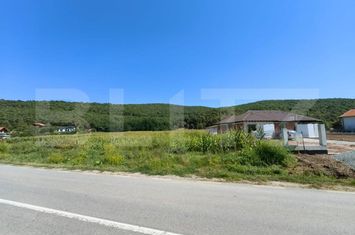 Teren de vanzare HAPRIA - Alba anunturi imobiliare Alba