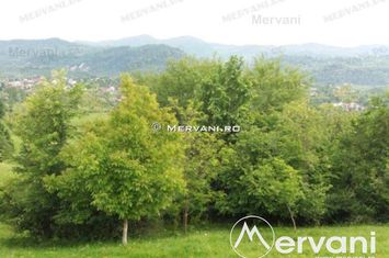 Teren Intravilan de vanzare VOILA - Prahova anunturi imobiliare Prahova