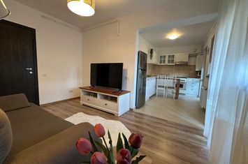 Apartament 2 camere Metalurgiei Brown Residence | loc parcare | anunturi imobiliare Bucuresti