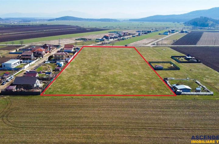 Teren Intravilan de vanzare EXTERIOR EST - Brasov anunturi imobiliare Brasov