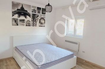 Inchiriez apartament 1 camera, ULTRACENTRAL zona Piata Victoriei-Dorobanti,Str. Grigore Alexandrescu 88 anunturi imobiliare Bucuresti