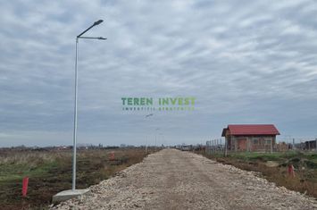 Parcele disponibile în Popești Leordeni, locație excelentă! anunturi imobiliare Bucuresti
