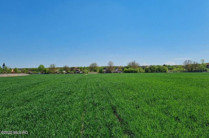 Teren Intravilan de vanzare SNAGOV - Bucuresti anunturi imobiliare Bucuresti