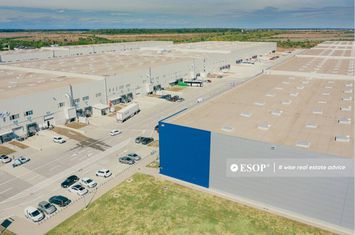 Spațiu industrial de inchiriat MOGOSOAIA - Bucuresti anunturi imobiliare Bucuresti