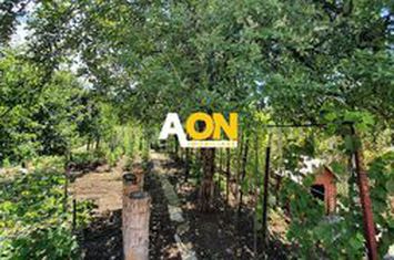 Casa cu 4 camere, garaj, teren 791 mp, zona Schit anunturi imobiliare Alba