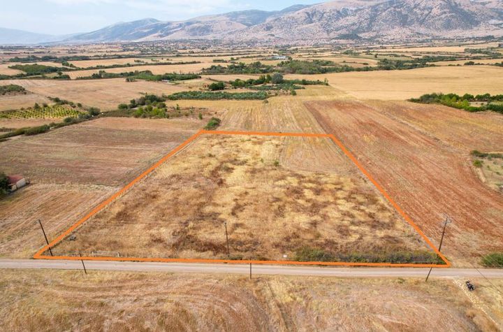 Teren construibil 3.895 mp în N. Kromni, Drama anunturi imobiliare Grecia
