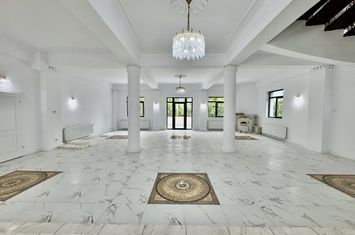 Spațiu comercial de inchiriat IASI - Iasi anunturi imobiliare Iasi