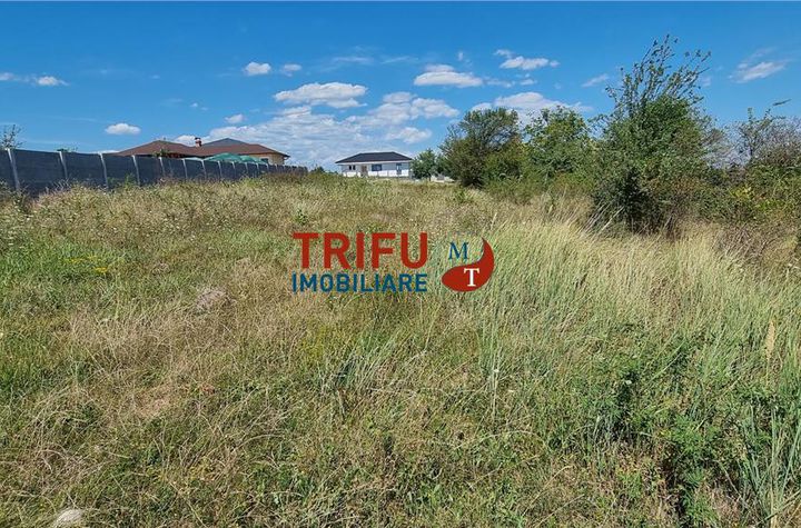 Teren Intravilan de vanzare CETATE - Alba anunturi imobiliare Alba